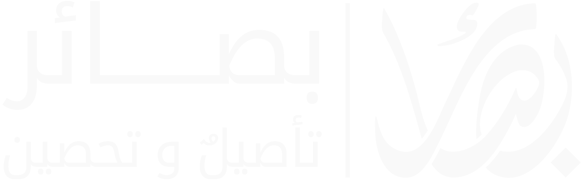 بصائر